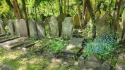 PICTURES/Highgate Cemetery East & West - London, England/t_20230520_112326.jpg